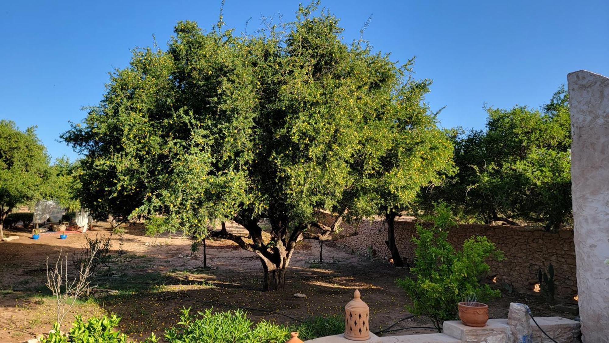 Dar Ez-Zine Villa Ounara Buitenkant foto