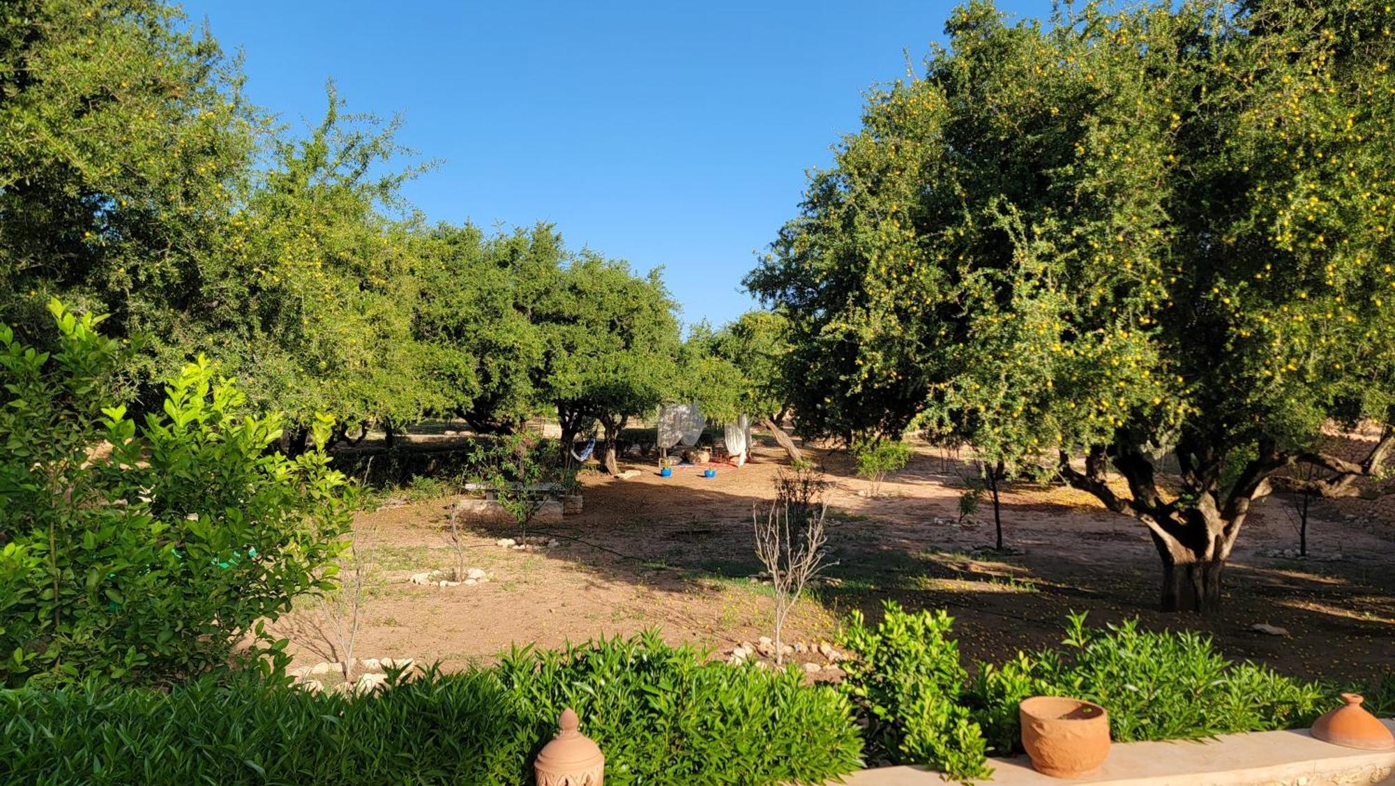 Dar Ez-Zine Villa Ounara Buitenkant foto