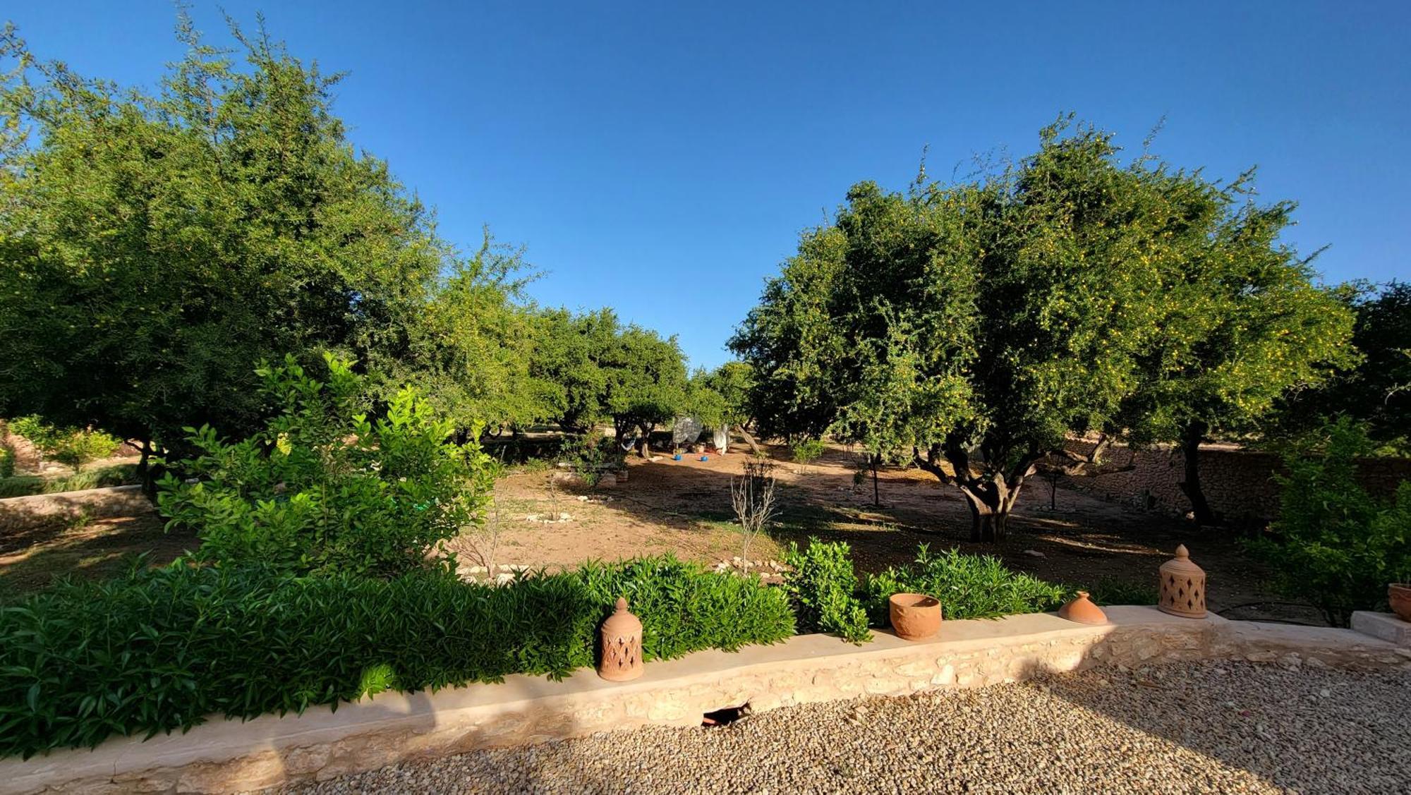 Dar Ez-Zine Villa Ounara Buitenkant foto
