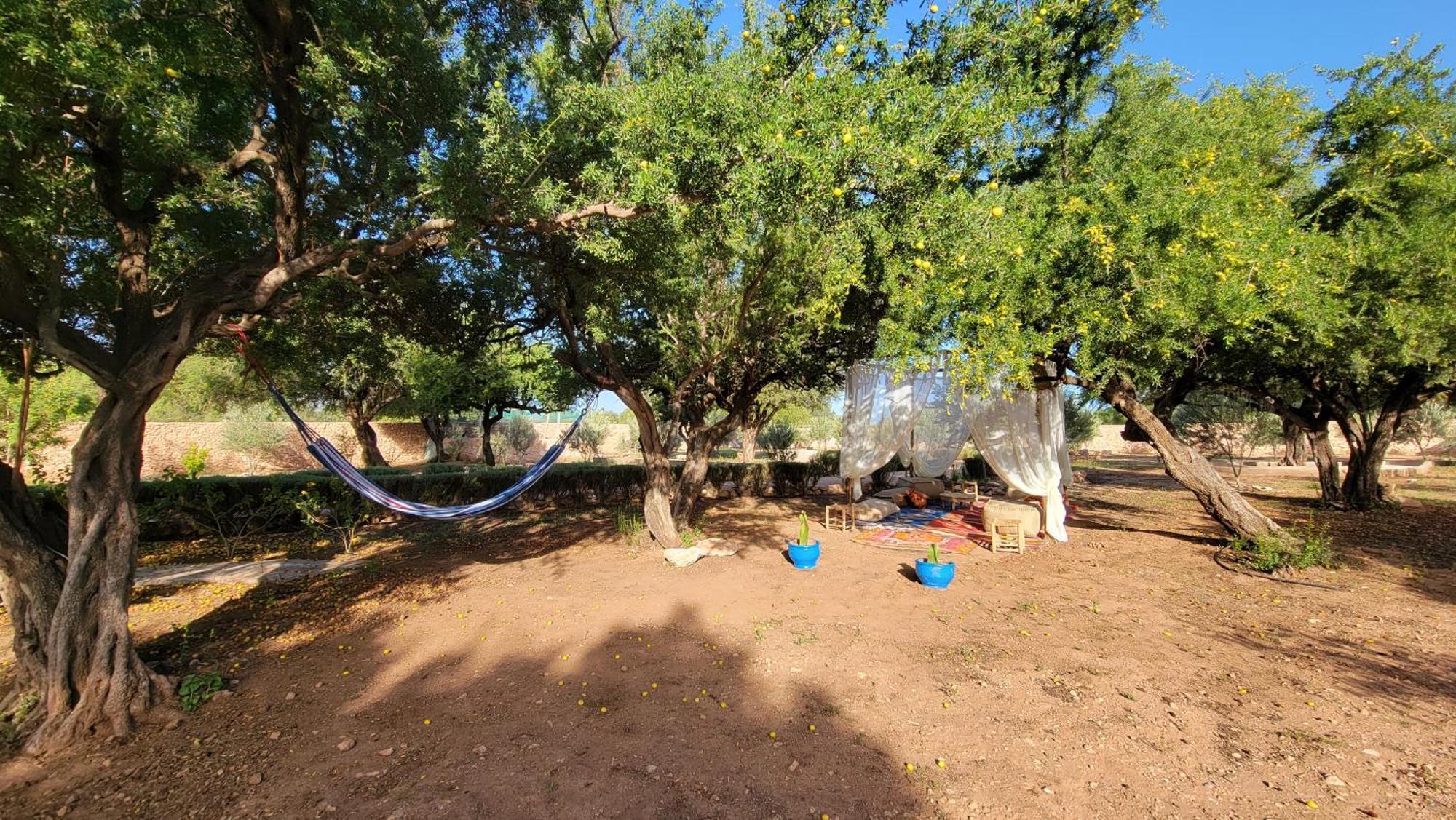 Dar Ez-Zine Villa Ounara Buitenkant foto